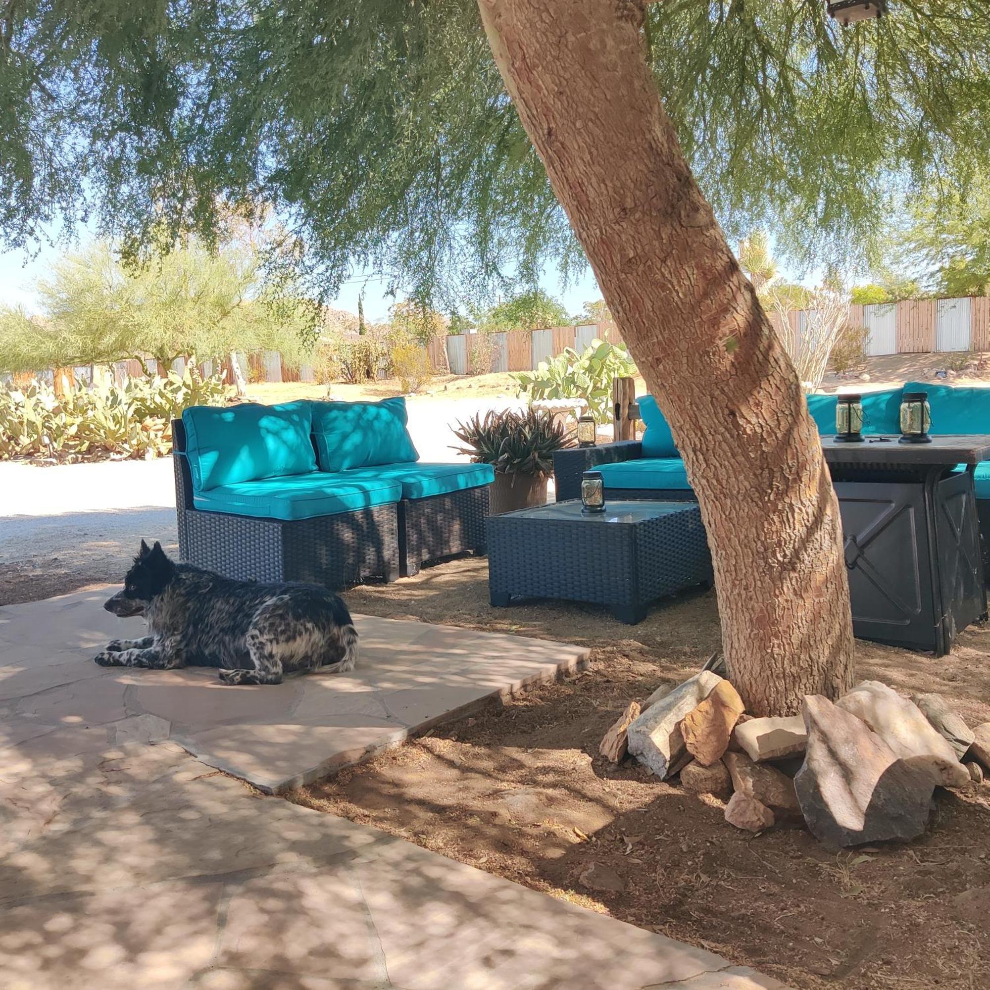 Joshua Tree Ranch House Motel - Downtown - Room #8 Esterno foto